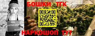 индика Бердск
