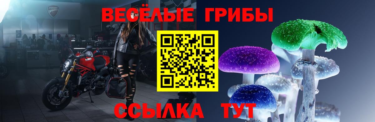 Дзержинск  Псилоцибиновые грибы Magic Shrooms  закладки  Вход с VPN  Псилоцибиновые грибы ЛСД 